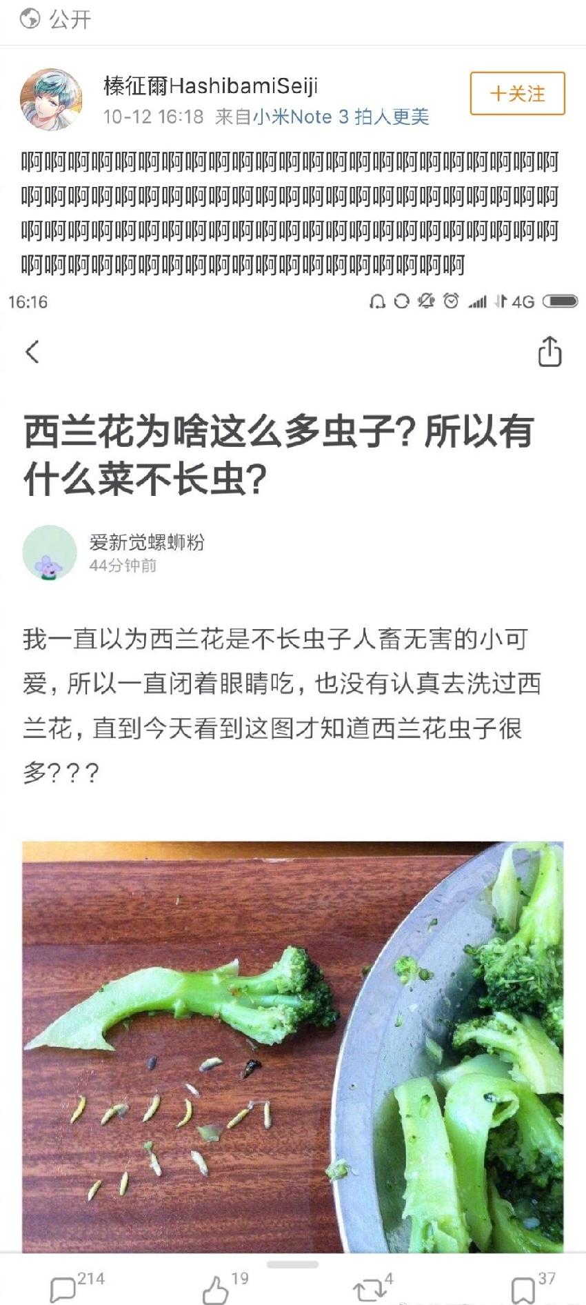 如何去掉西蘭花上的蟲子？99％的人不會(huì)處理啊